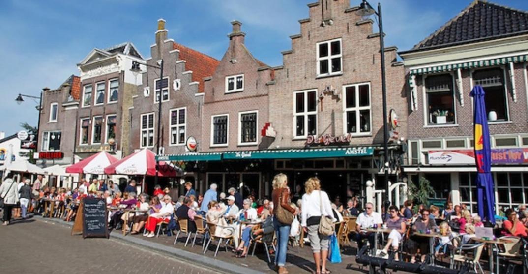 Huisje Britt Met Grote Tuin En Veel Privacy Dirkshorn Esterno foto