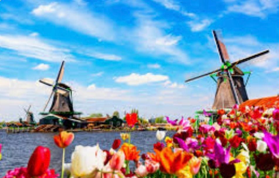 Huisje Britt Met Grote Tuin En Veel Privacy Dirkshorn Esterno foto