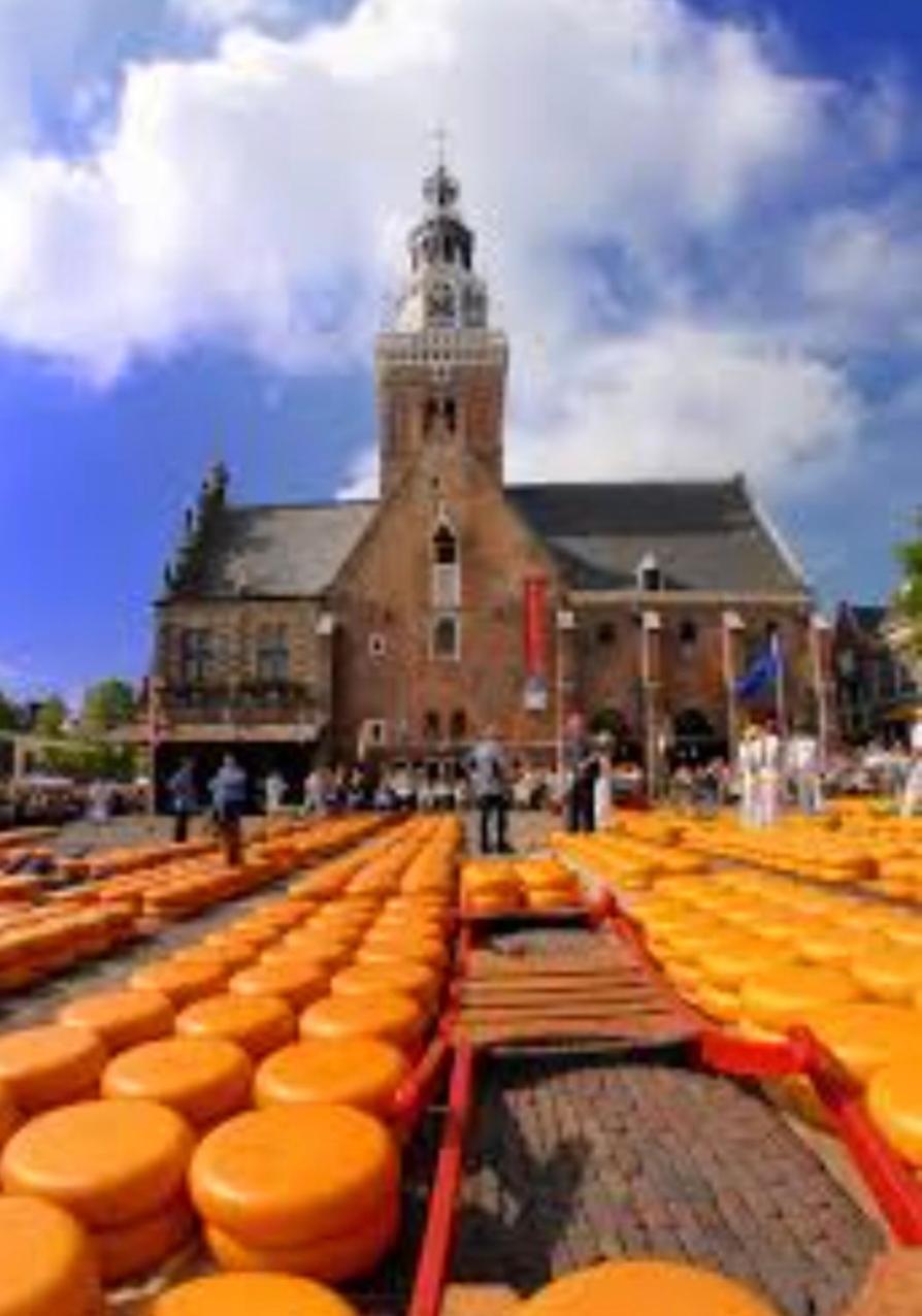 Huisje Britt Met Grote Tuin En Veel Privacy Dirkshorn Esterno foto