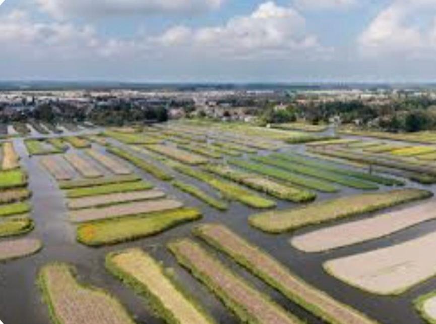 Huisje Britt Met Grote Tuin En Veel Privacy Dirkshorn Esterno foto